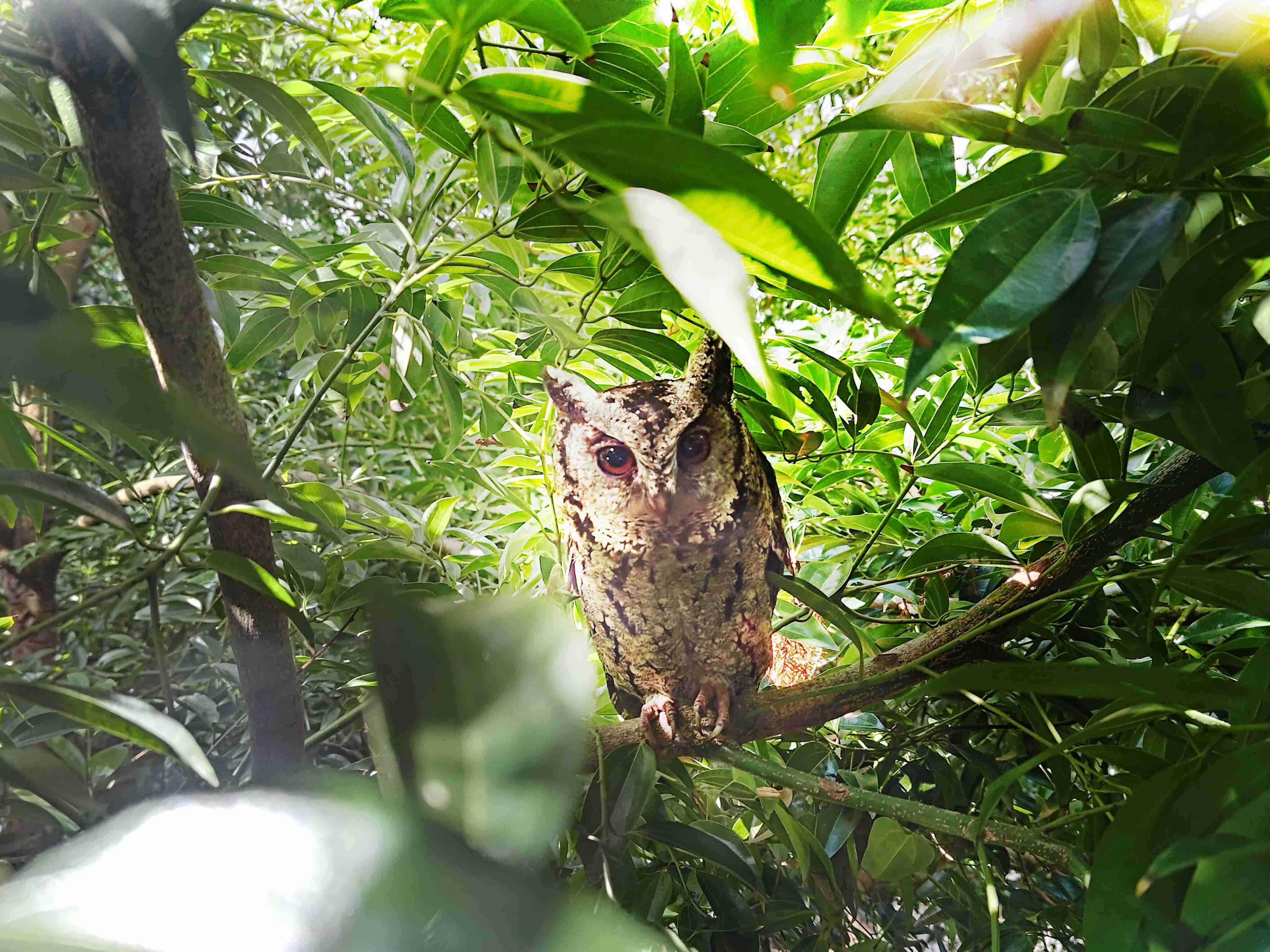 优游UB8致力提倡净零绿生活，，16年以来在全球各厂区植树逾百万棵，，，造就各厂区树木蔚然成林，，，犹如森林工厂，，，，成为许多生物的栖息地